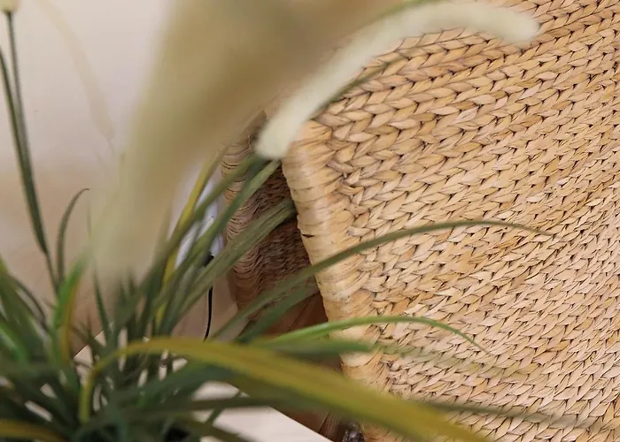 Flh Fontainhas Homey Mezzanine Lejlighed Porto