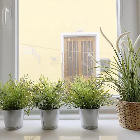 Flh Fontaínhas Homey Mezzanine *