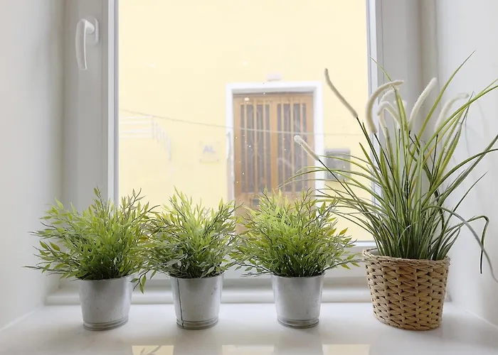 Flh Fontaínhas Homey Mezzanine *